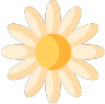 icono